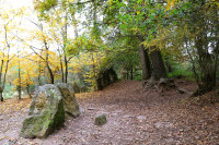 Forêt de Brocéliande - Tombeau de Merlin